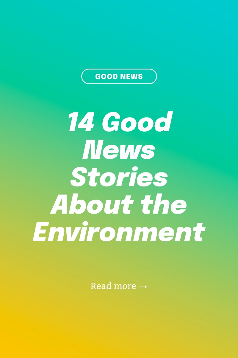 14 goed nieuwsverhalen over het milieu - Pinterest-afbeelding