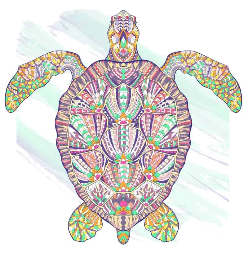 schildpad geest dier
