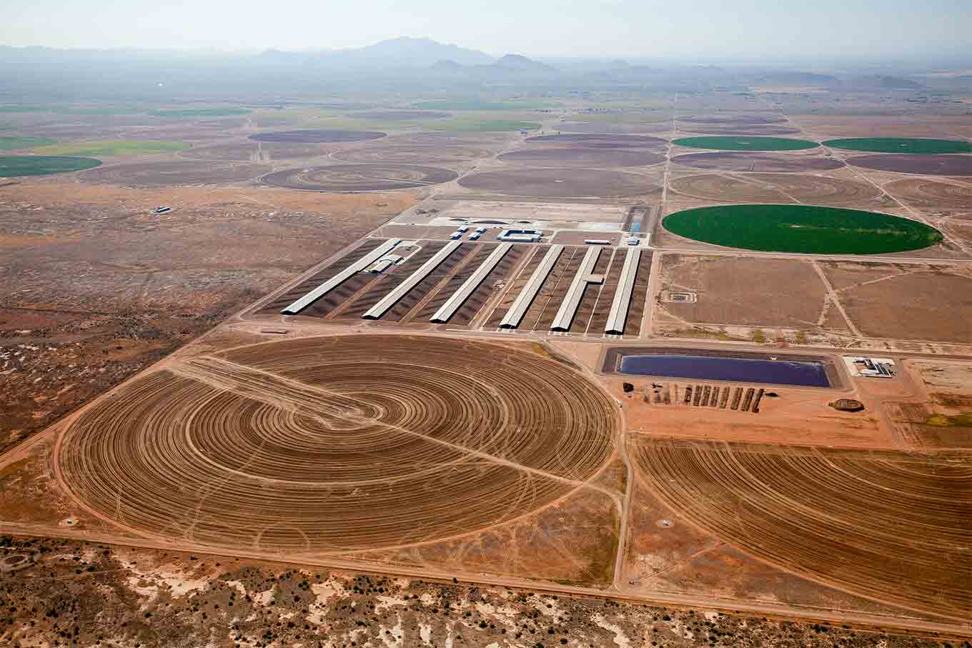 Een luchtfoto van een mega-zuivelfabriek