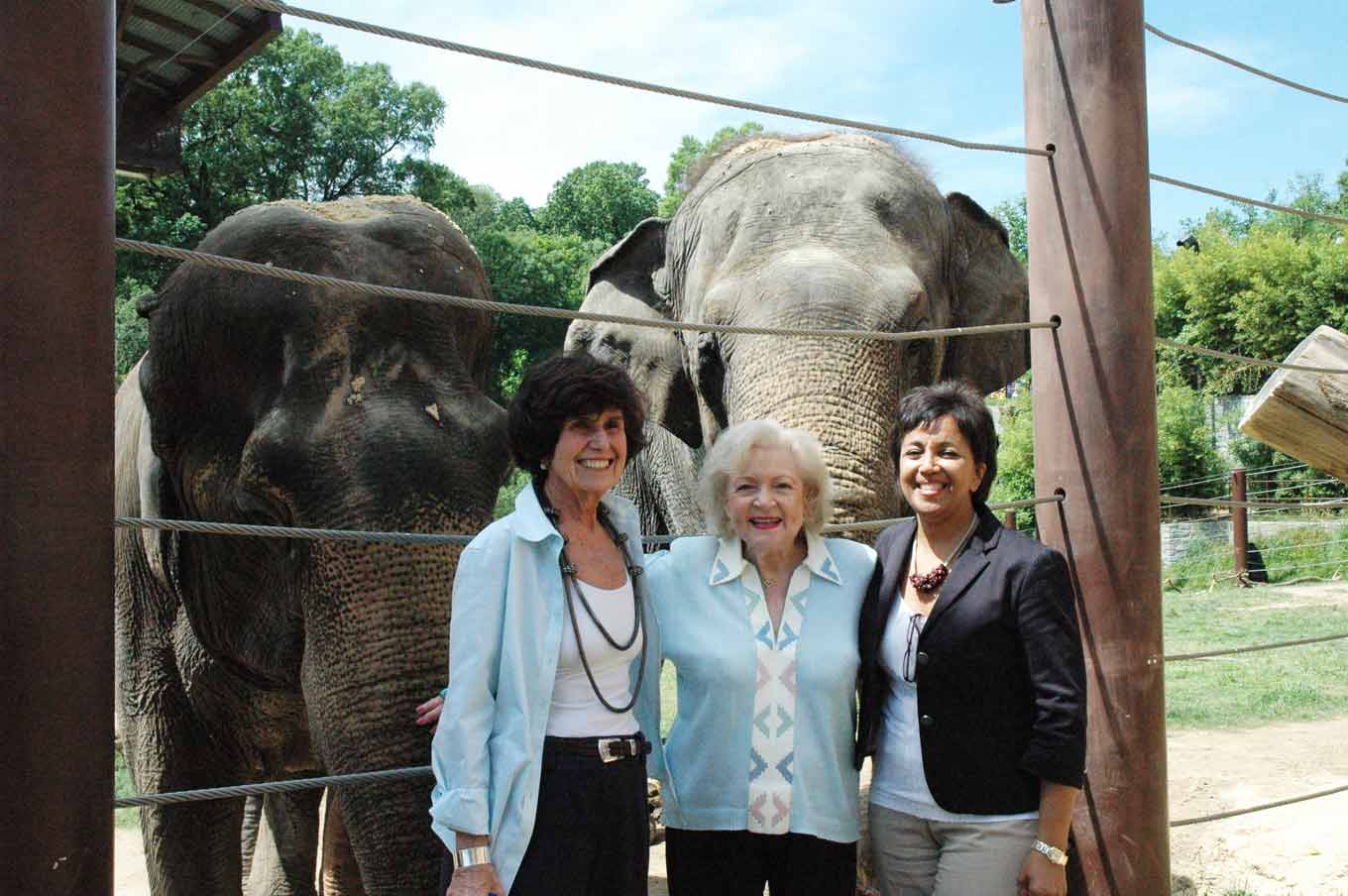 Betty White met olifanten in de dierentuin