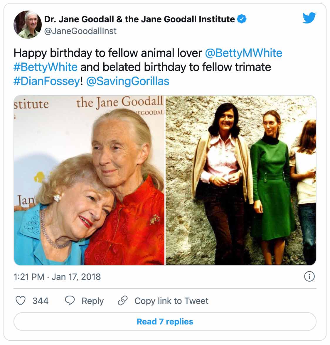 Tweet met afbeeldingen: Dr. Jane Goodall &the Jane Goodall Institute @JaneGoodallInst Happy birthday to fellow animal lover @BettyMWhite #BettyWhite and late birthday to fellow trimate #DianFossey!  @SavingGorillas