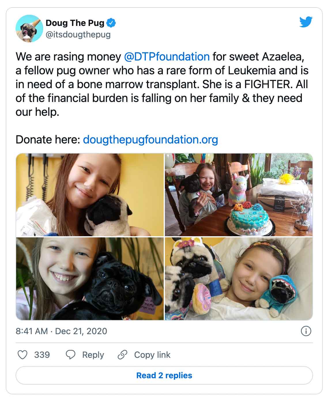 Tweet: Doug The Pug @itsdougthepug We razen geld @DTPfoundation voor zoete Azaelea, een mede-mopshondeigenaar die een zeldzame vorm van leukemie heeft en een beenmergtransplantatie nodig heeft. Ze is een VECHTER. Alle financiële lasten vallen op haar familie en ze hebben onze hulp nodig.  Doneer hier: http://dougthepugfoundation.org