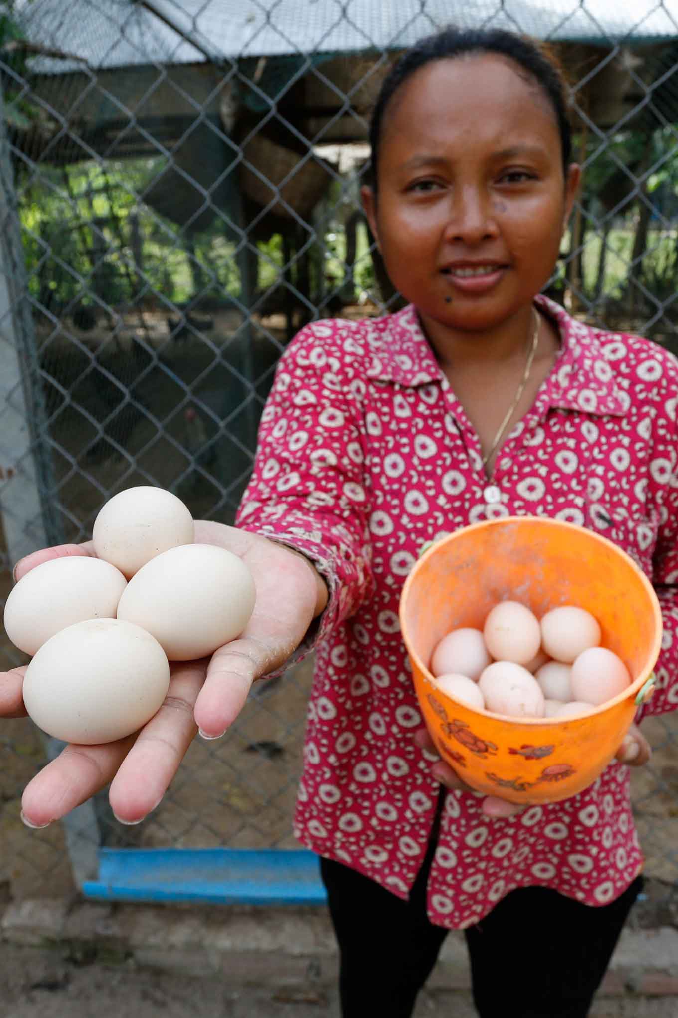 Een vrouw met een handvol eieren en een emmer vol eieren