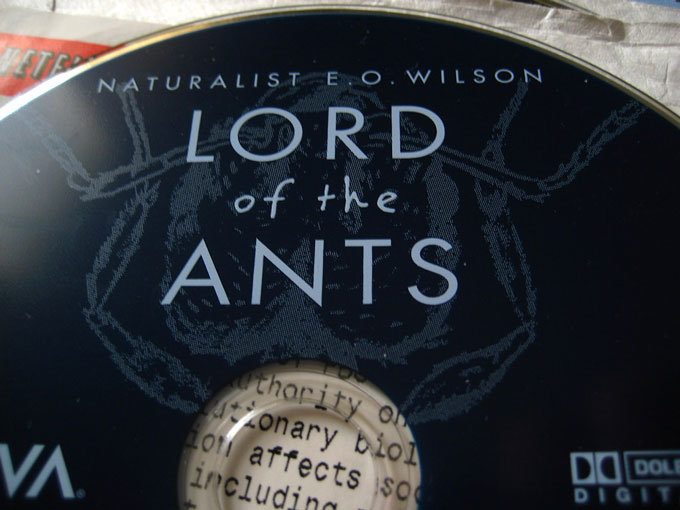 DVD met de woorden Naturalist E.O. Wilson Lord of the Ants