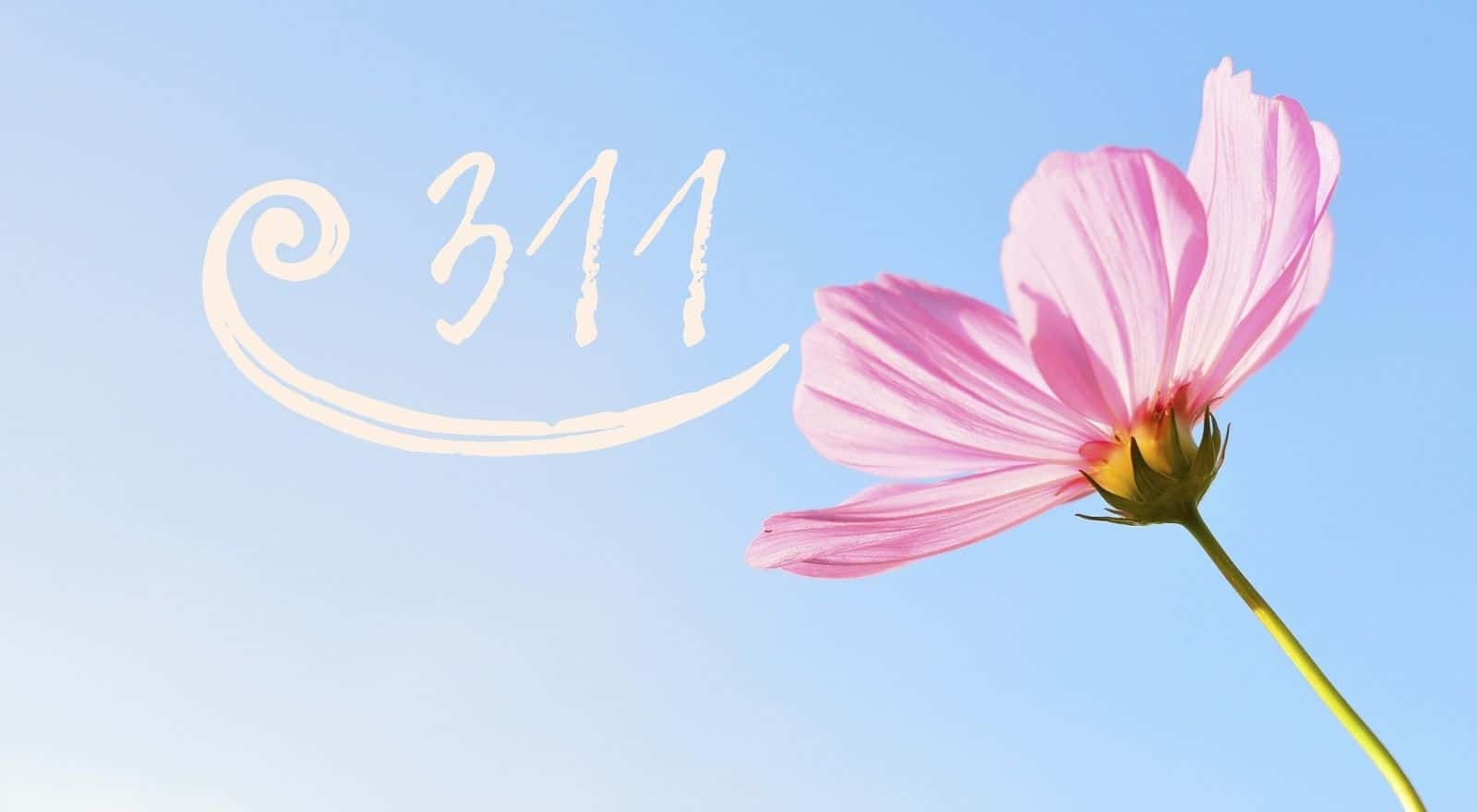 Engelen nummer 311: een hoopvolle boodschap van positiviteit en vreugde