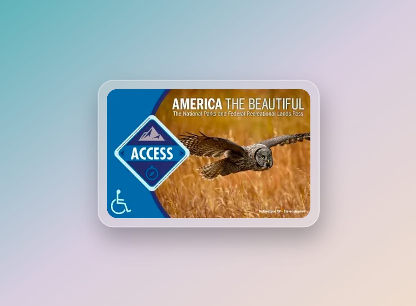 Toegang voor gehandicapten Amerika de prachtige nationale parken Pas