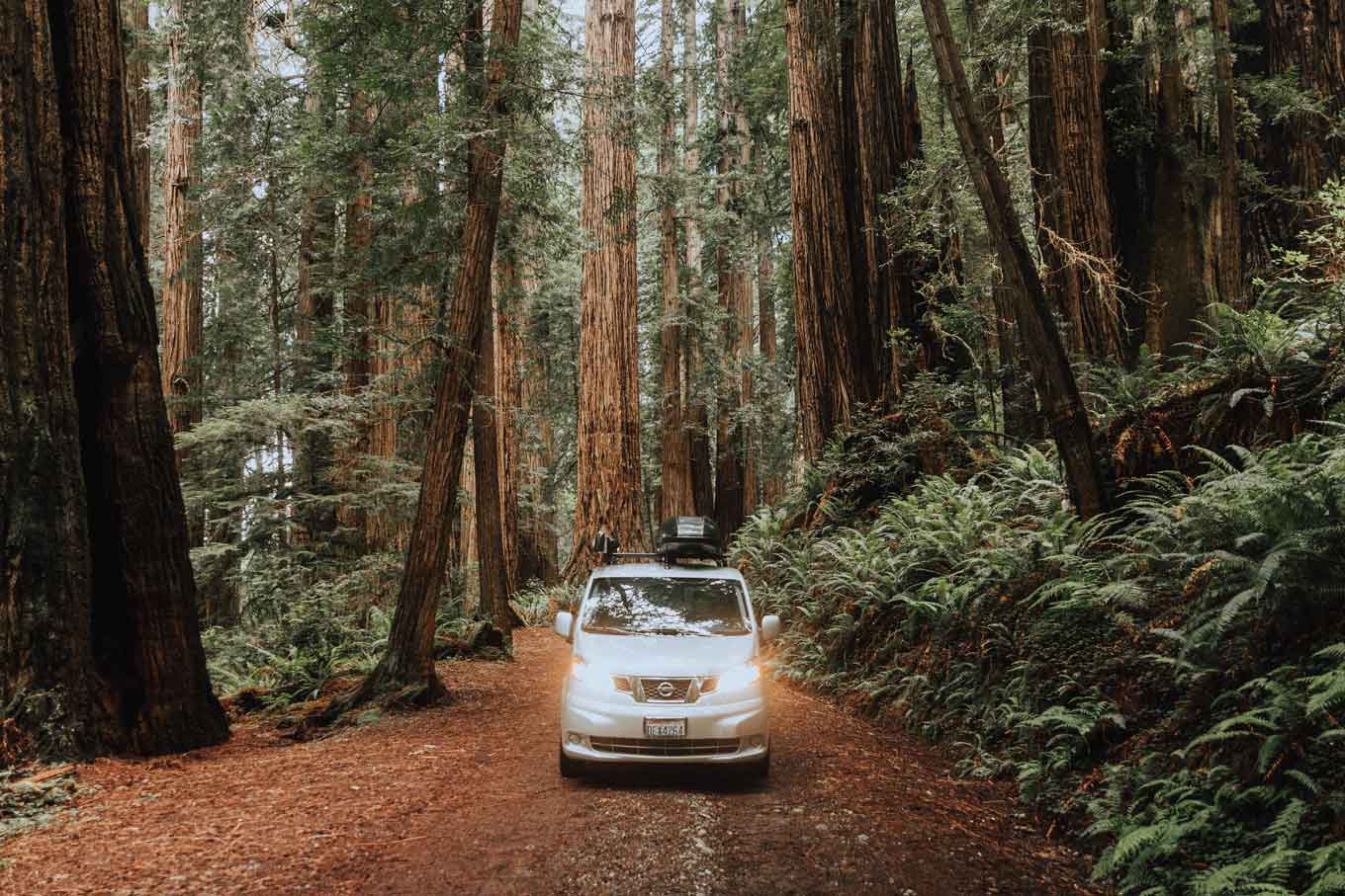 Een auto rijden in Redwood National Park
