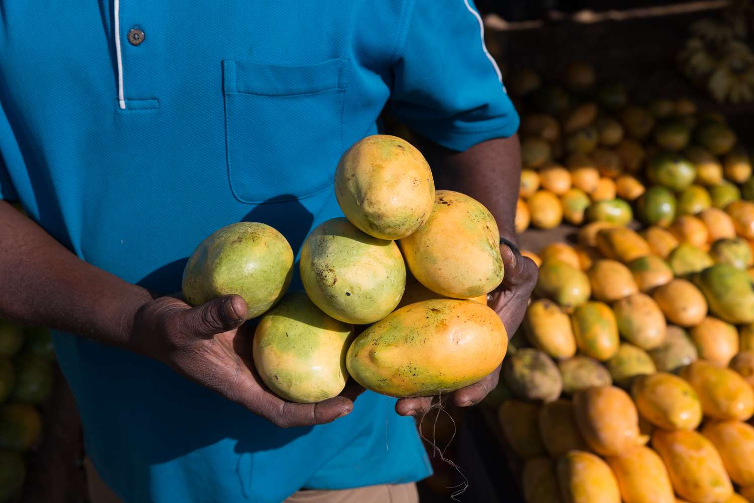 Mangoverkoper met mango's