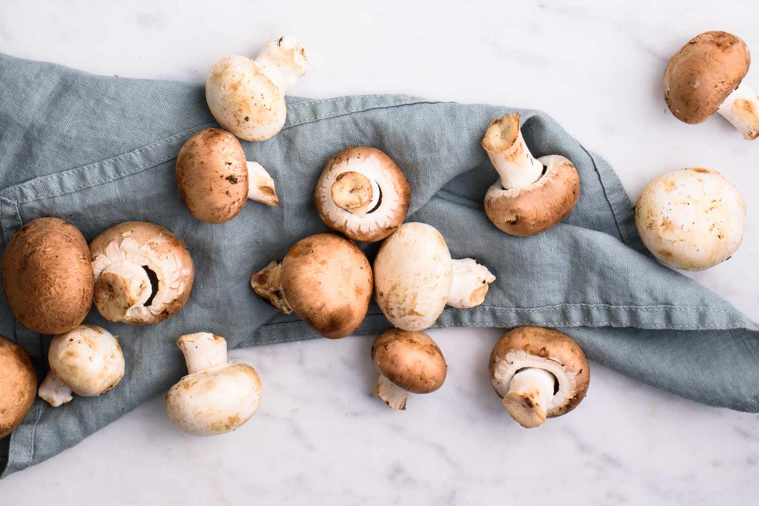Zijn paddenstoelen echt glutenvrij?