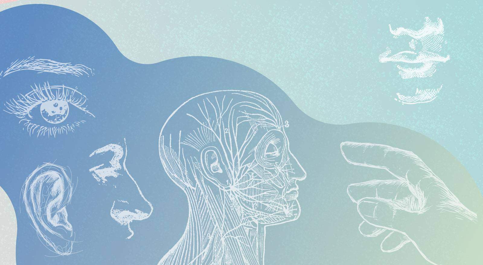 Paranormale vermogens 101: een beginnershandleiding voor je heldervoelen
