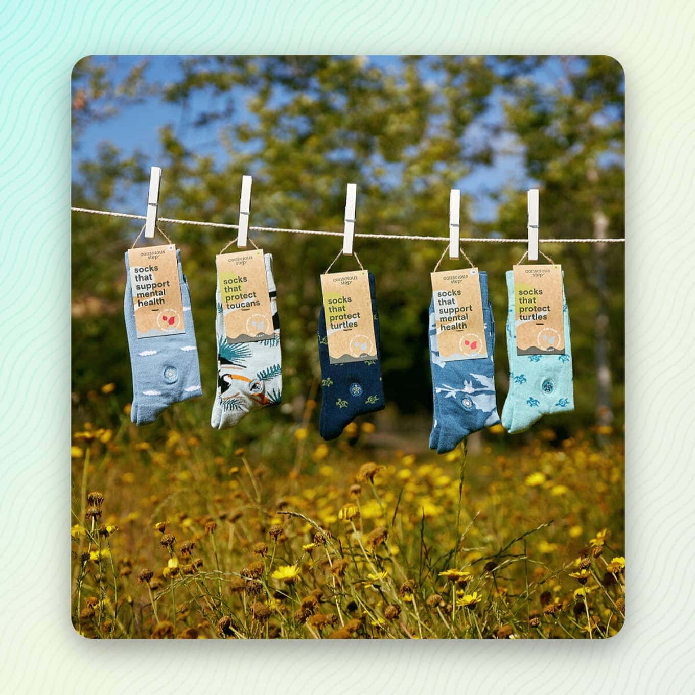 Sokken die aan een waslijn hangen - met een verpakking waarop staat "Sokken die..." : ondersteunt de geestelijke gezondheid, beschermt toekans, beschermt schildpadden, ondersteunt de geestelijke gezondheid