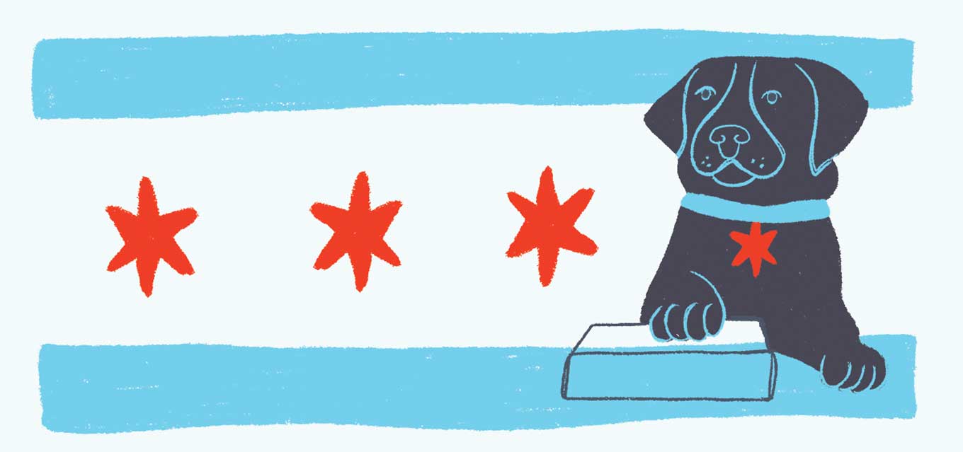 Hatti The Comfort Dog wordt beëdigd op een wetboek, met een vlag van Chicago