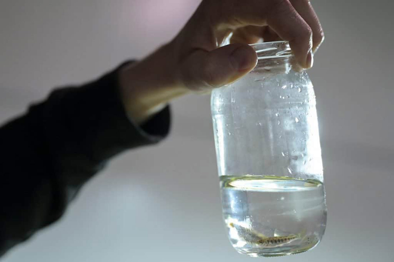 Een glazen fles half gevuld met water wordt vastgehouden door een hand