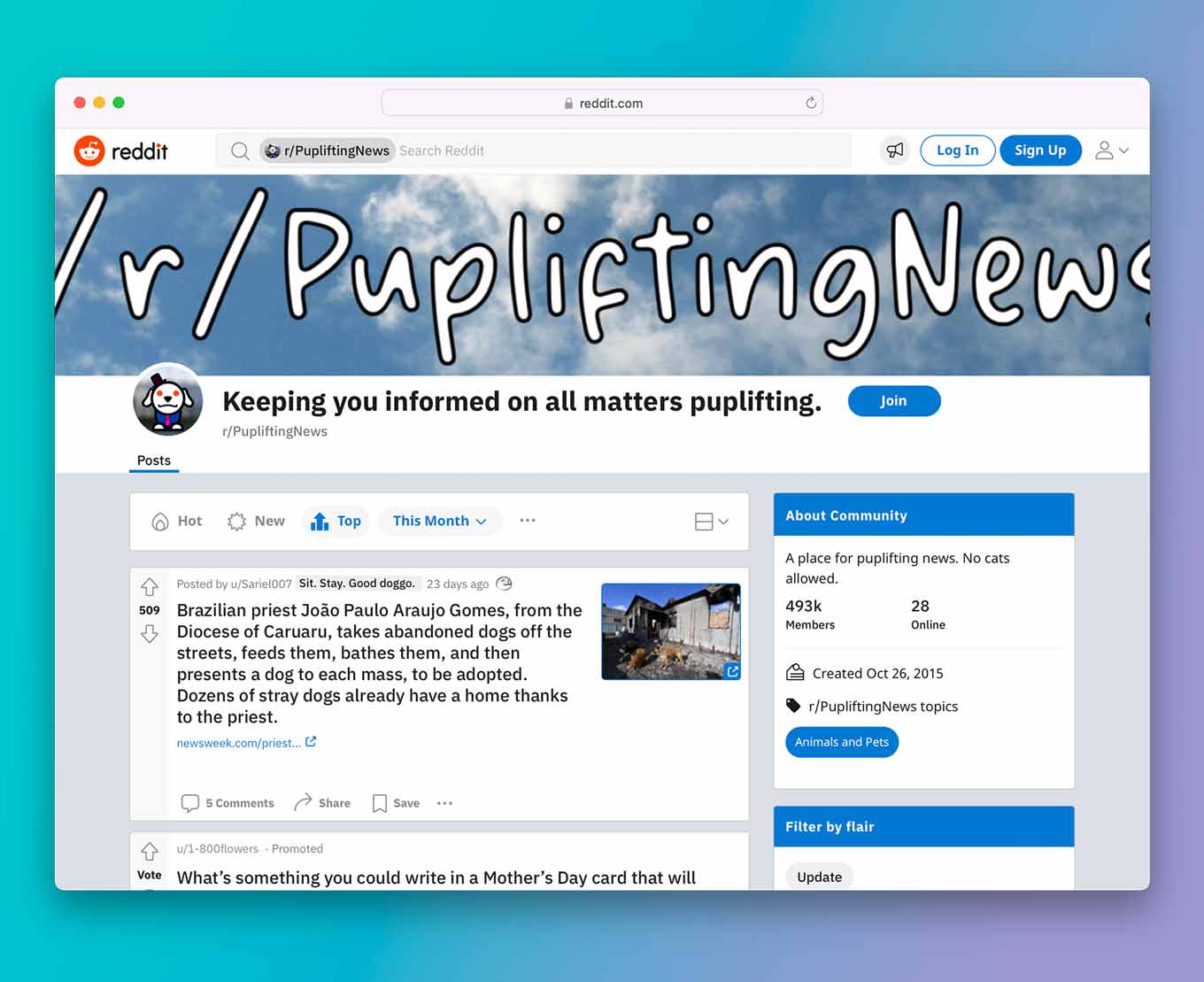 Puplifting Nieuws op Reddit: Een plek voor puplifting nieuws. Geen katten toegestaan.