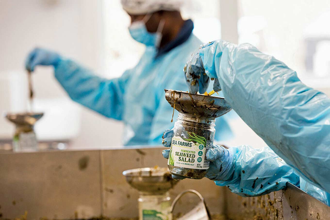 Arbeiders vullen potten met zeewiersalade