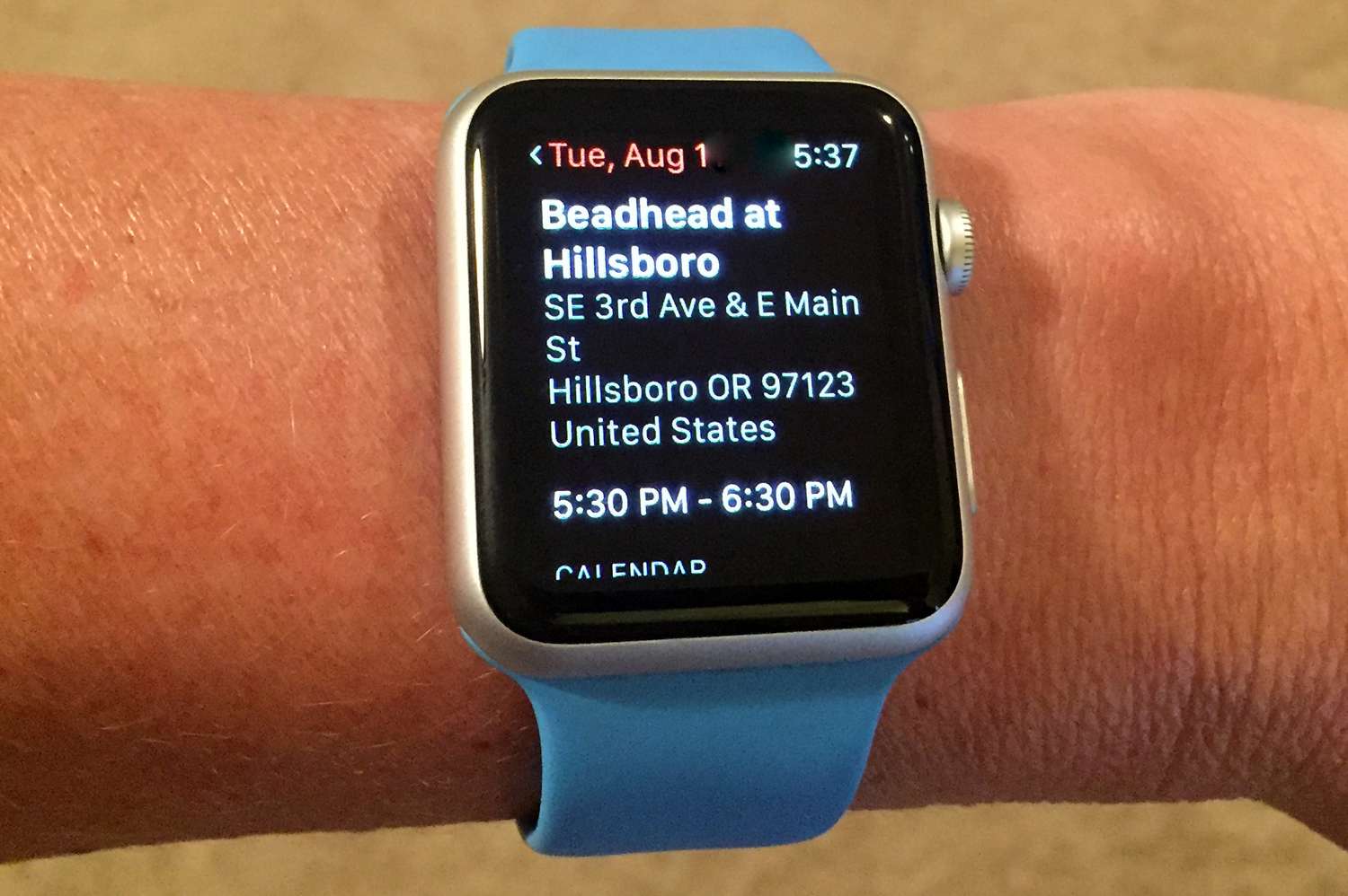 Apple Watch-schema