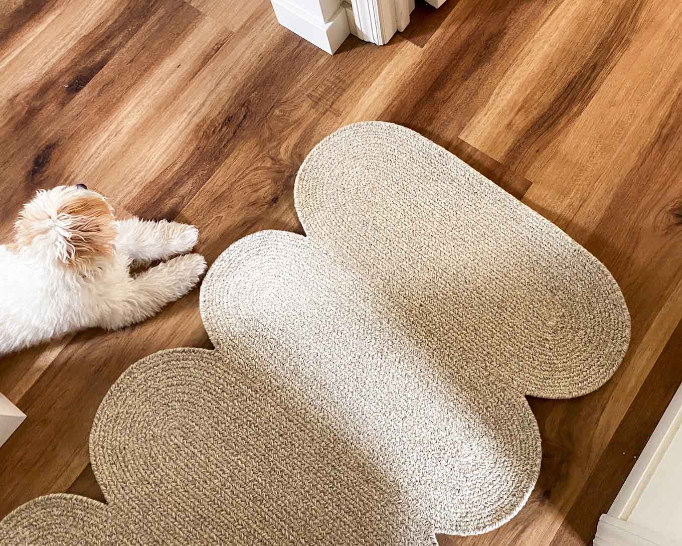 CICIL loper vloerkleed in een gang (met een hond ernaast)