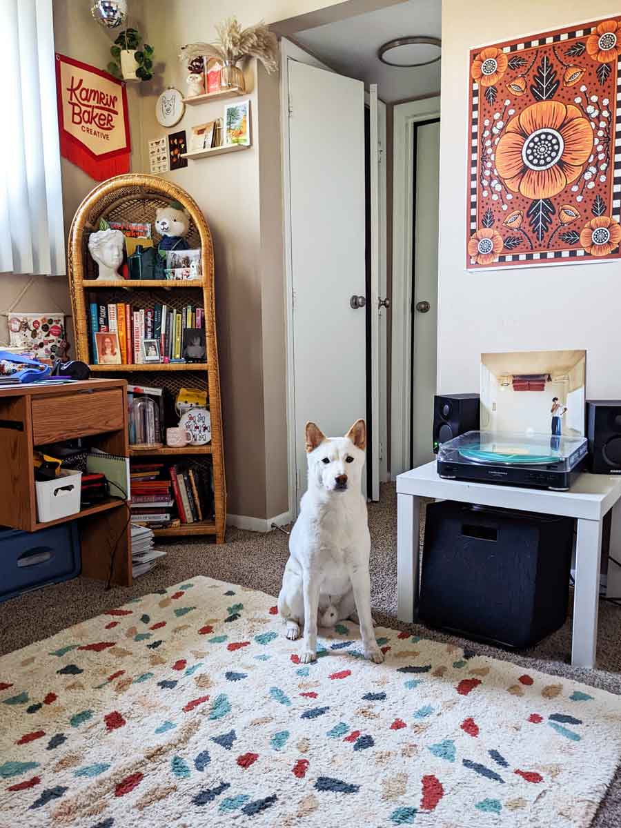 Hond die op een kleurrijk tapijt zit