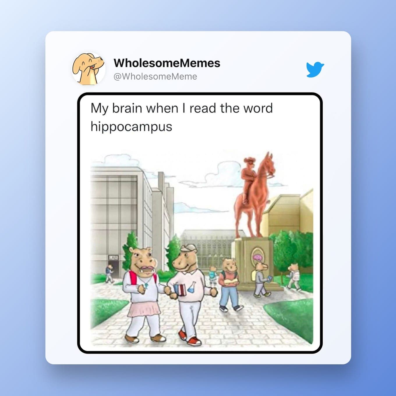 Gezonde Meme: Mijn hersenen toen ik het woord hippocampus las [Hippos on a college campus]