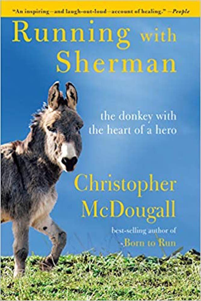 Rennen met Sherman: De ezel met het hart van een held