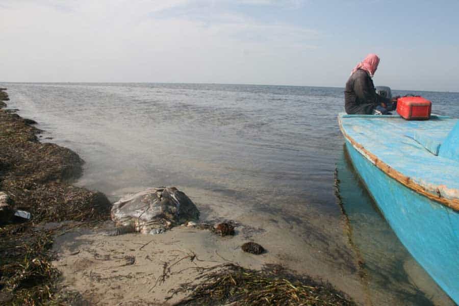 Een man in Egypte zit op een boot