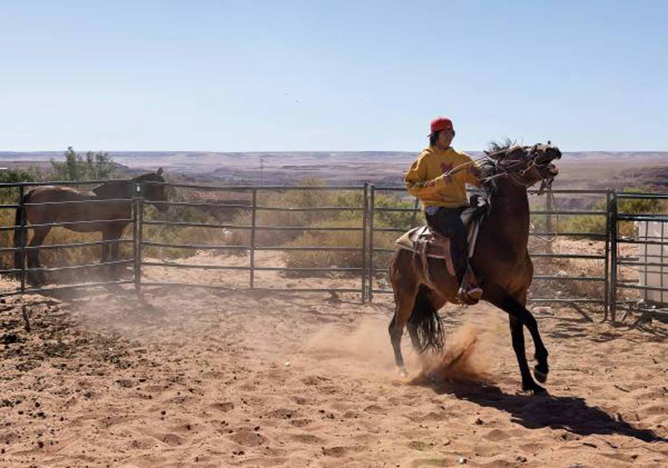Een man traint een paard door erop te rijden