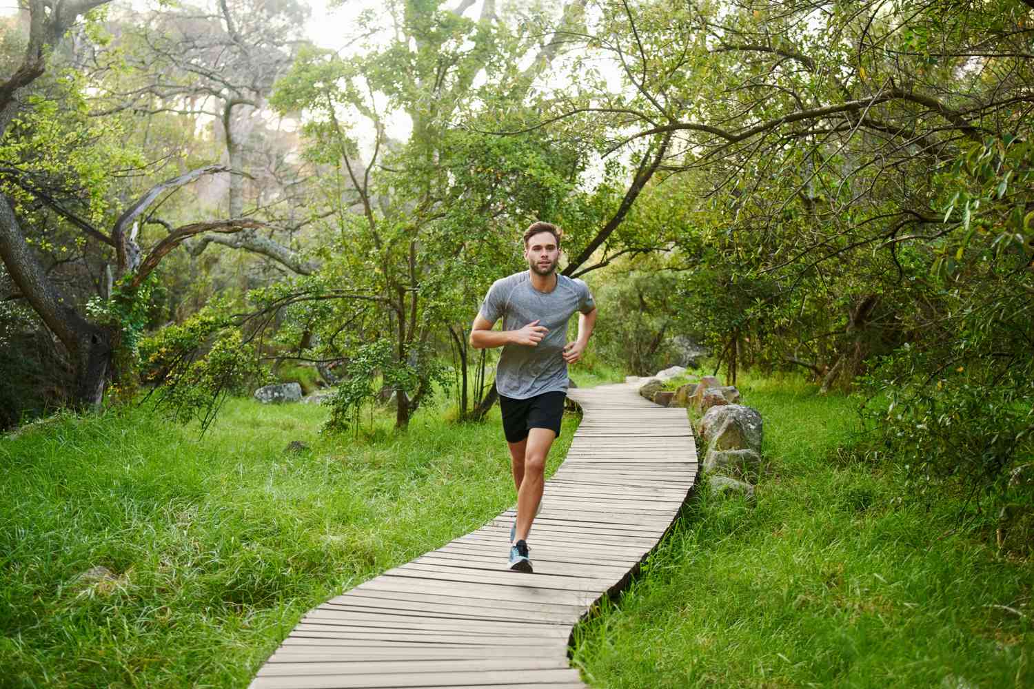 Wat is de gemiddelde calorie-inname voor mannen?