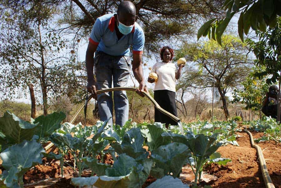 Een Keniaanse man bewatert zijn gewassen met een slang van een waterpomp op zonne-energie