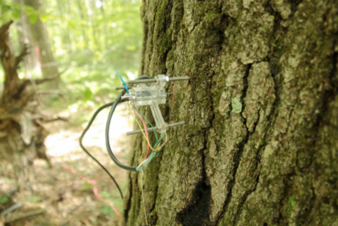 Sensoren aangesloten op een boom