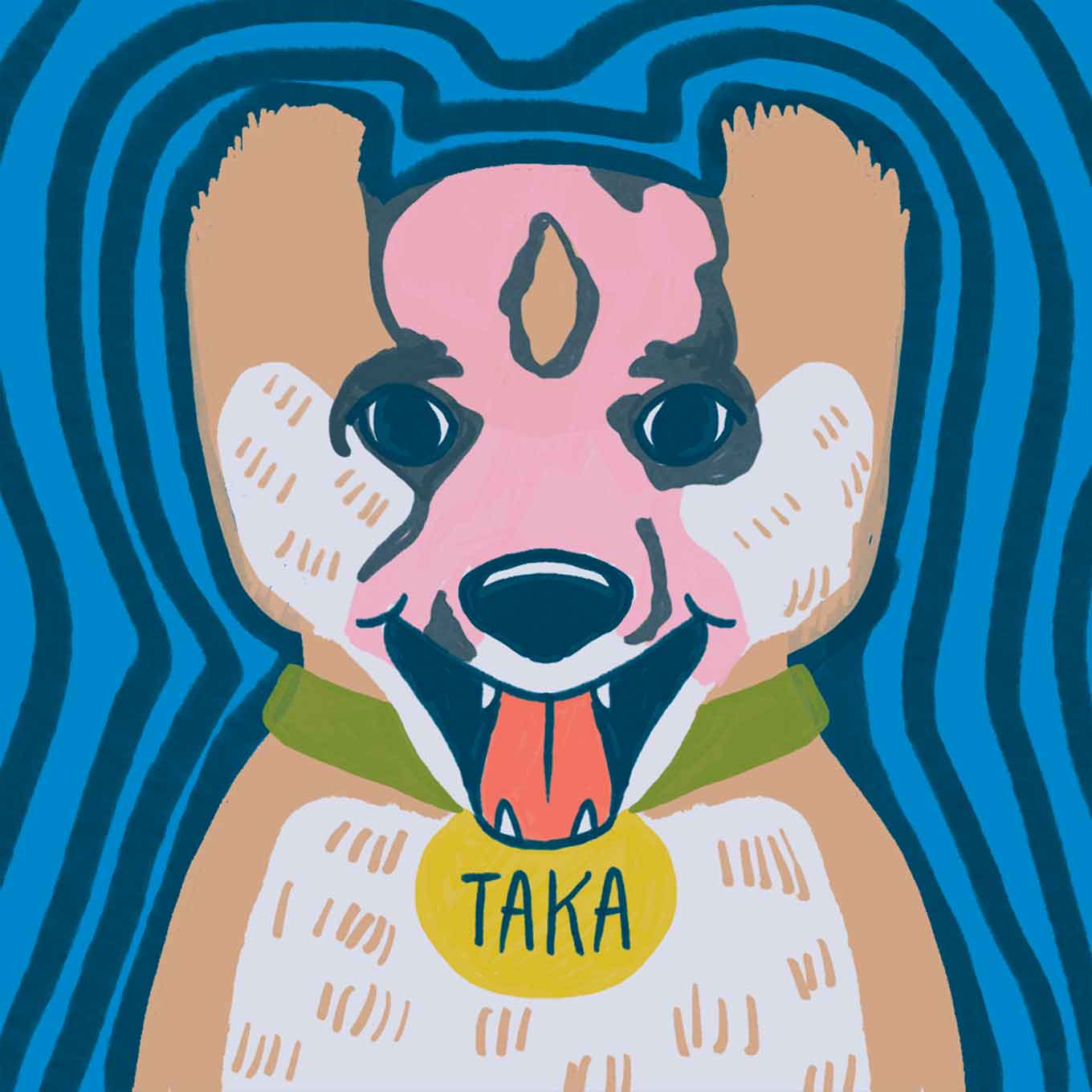 Taka de hond heeft een roze / huidvlek op de voorkant van zijn gezicht na een brandwond