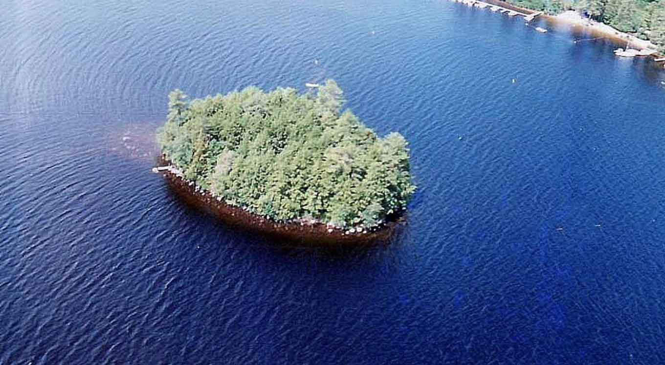 Een luchtfoto van een eiland bedekt met bomen
