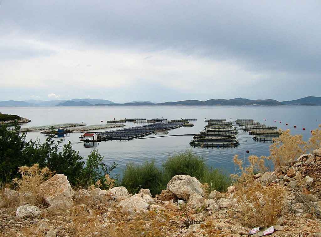 Aquaculture Bay in Griekenland