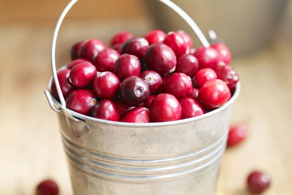 Cranberry Nutrition Feiten en voordelen voor de gezondheid
