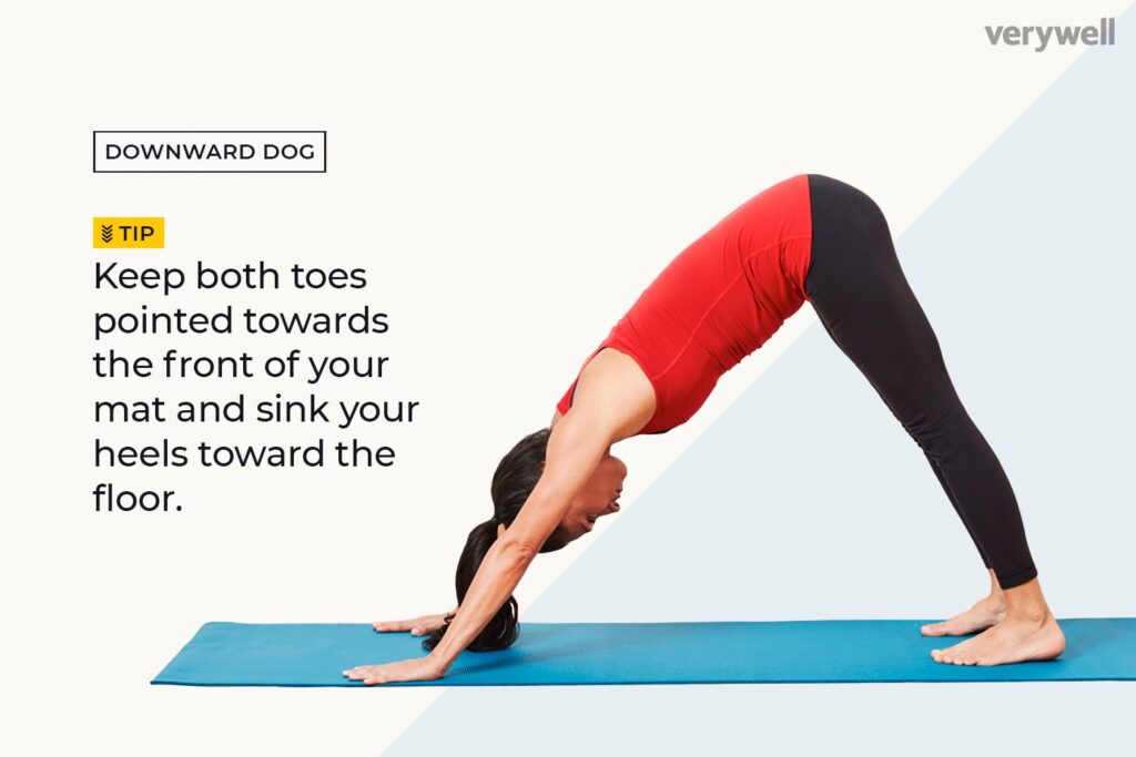 Hoe Downward Facing Dog (Adho Mukha Svanasana) in Yoga te doen