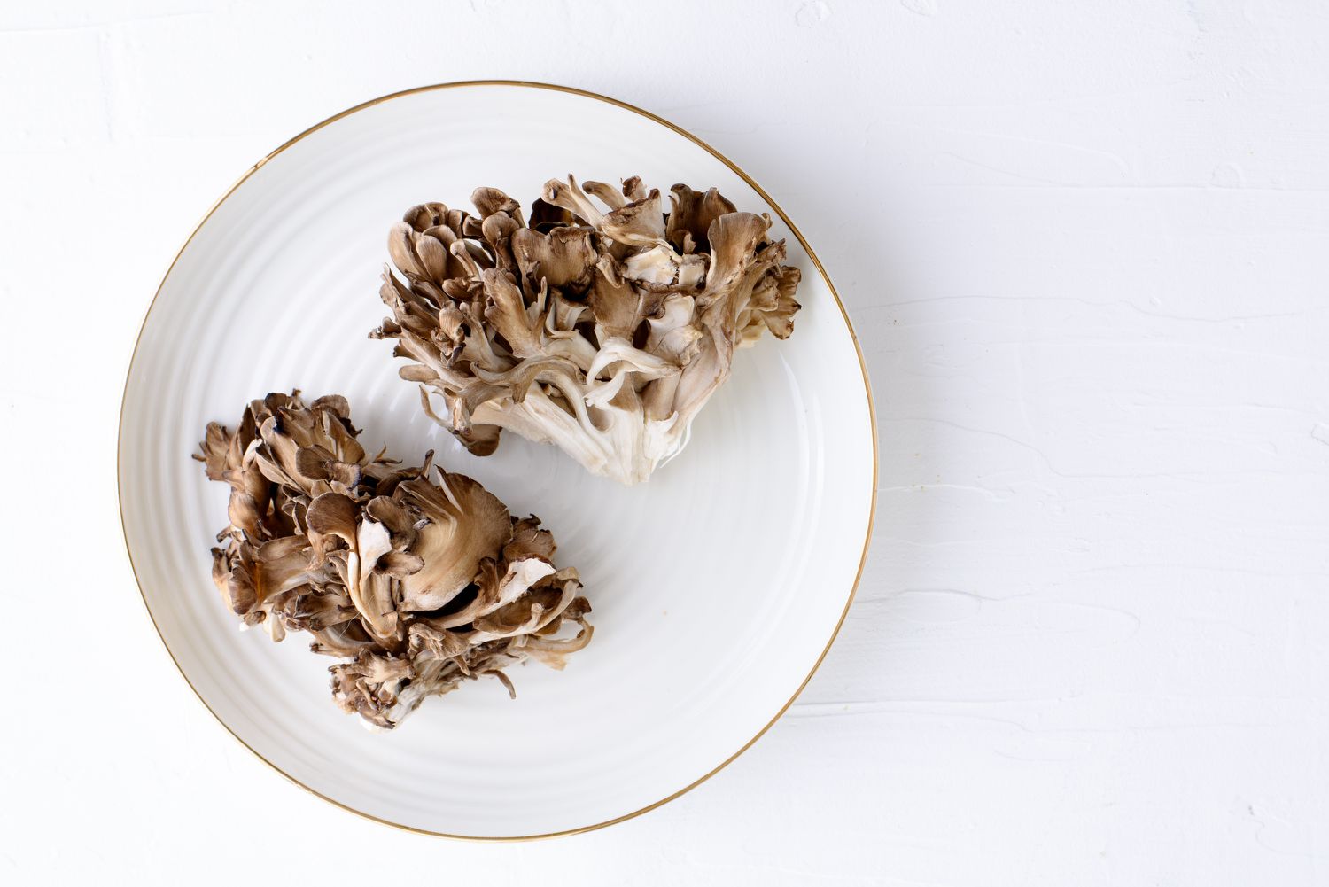 Maitake paddenstoelen